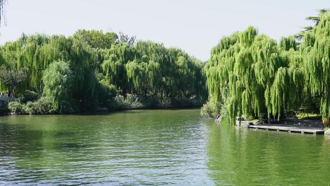 山东省济南市天下第一泉大明湖公园景区景色