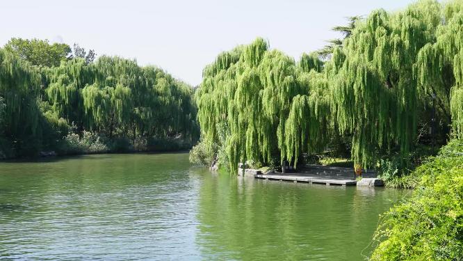 山东省济南市天下第一泉大明湖公园景区景色