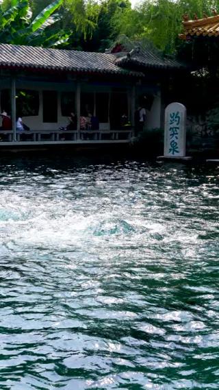 竖屏-4K济南趵突泉公园济南旅游实拍泉水视频