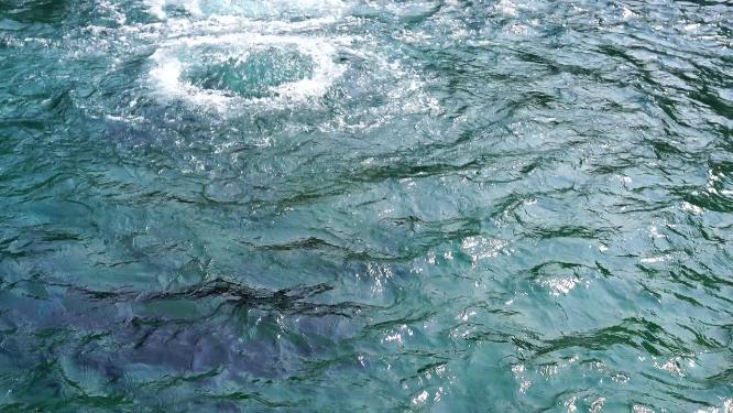 4K济南趵突泉公园济南旅游实拍泉水视频