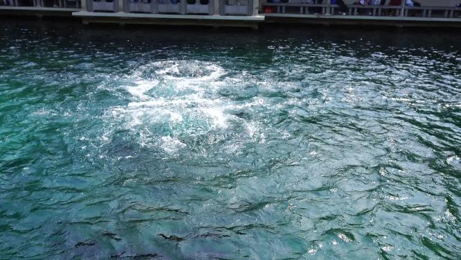 4K济南趵突泉公园济南旅游实拍泉水视频
