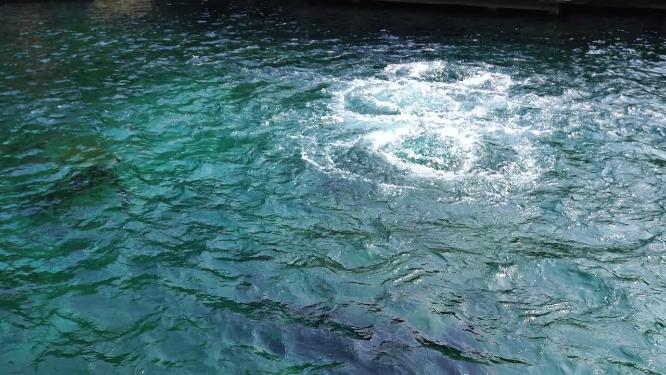 4K济南趵突泉公园济南旅游实拍泉水视频