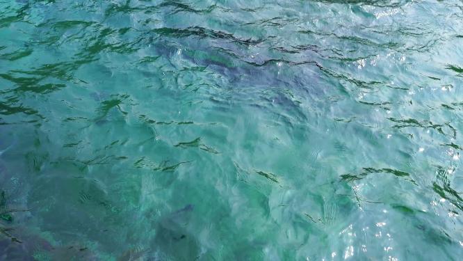 4K济南趵突泉公园济南旅游实拍泉水视频
