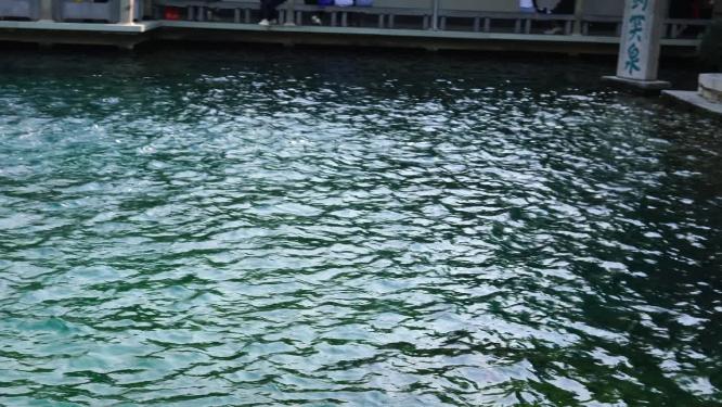 4K济南趵突泉公园济南旅游实拍泉水视频