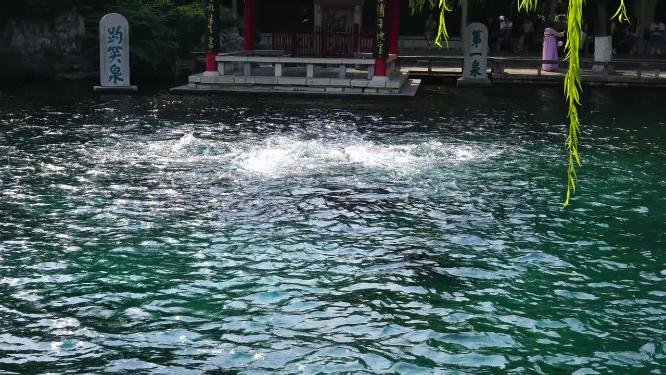 4K济南趵突泉公园济南旅游实拍泉水视频