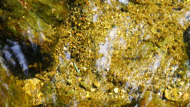 4K泉城济南趵突泉景区清澈的水面与砂砾