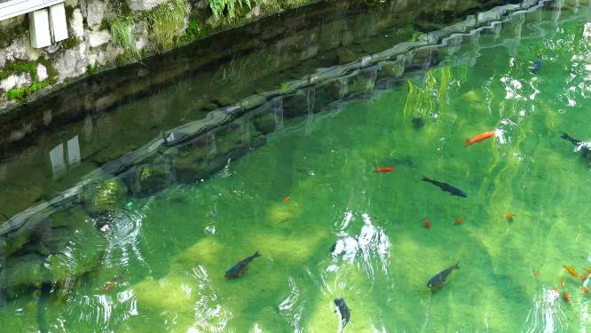 4K实拍泉城济南趵突泉公园济南旅游实拍