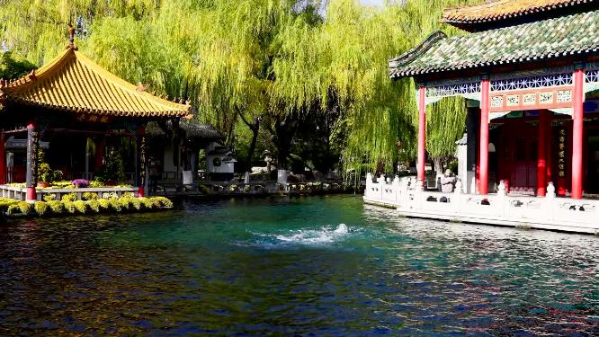 山东省旅游城市泉城济南天下第一泉景区趵突泉公园游客视角实拍4K视频