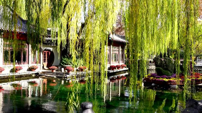 山东省旅游城市泉城济南天下第一泉景区趵突泉公园游客视角实拍4K视频