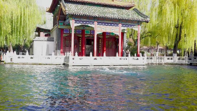 山东省旅游城市泉城济南天下第一泉景区趵突泉公园游客视角实拍4K视频
