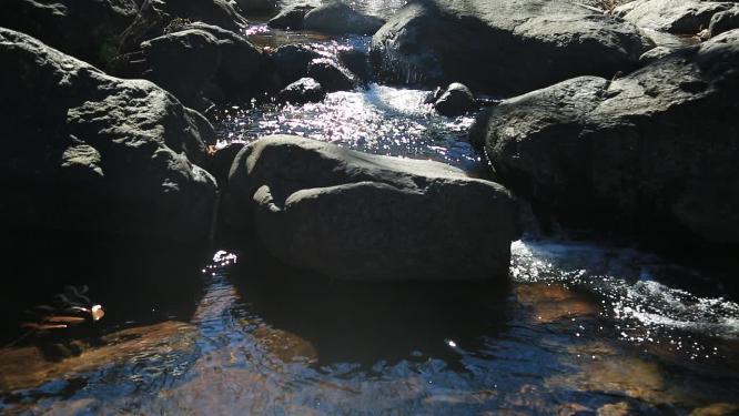 森林山泉小溪水