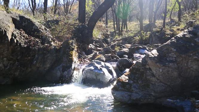 森林山泉小溪水