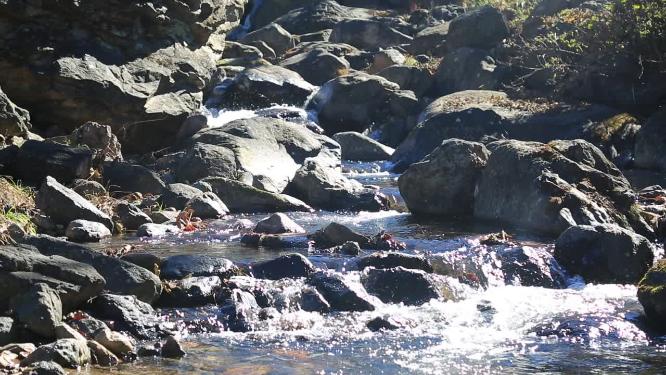 森林山泉小溪水