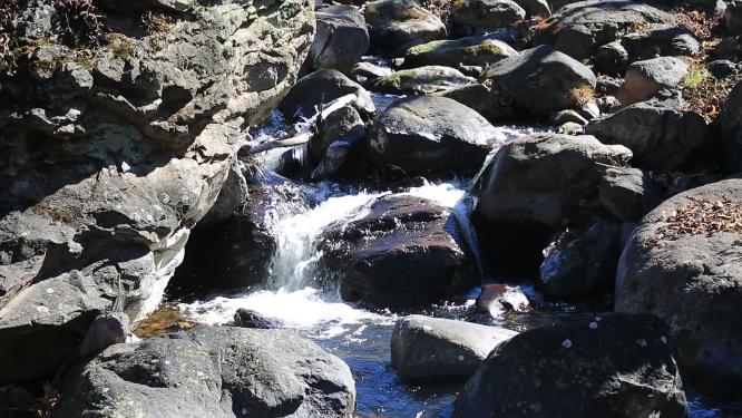 森林山泉小溪水