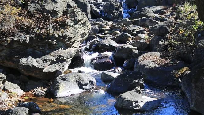 森林山泉小溪水