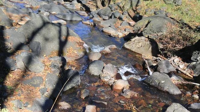 森林山泉小溪水