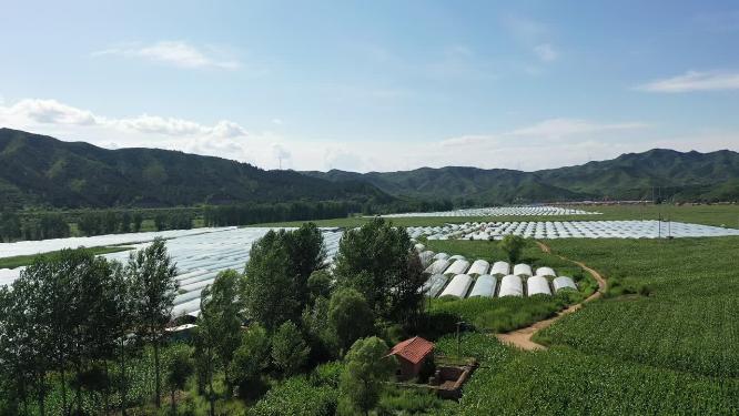 航拍新农村  乡村振兴   绿水青山