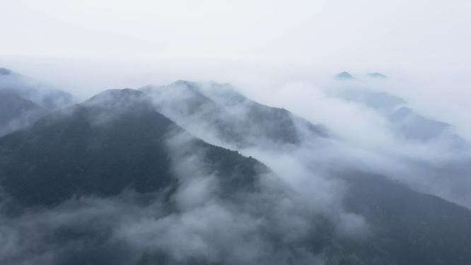 4k大山深处云雾缭绕航拍阴森环境