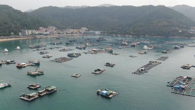 深圳杨梅坑度假区大海海浪渔船航拍