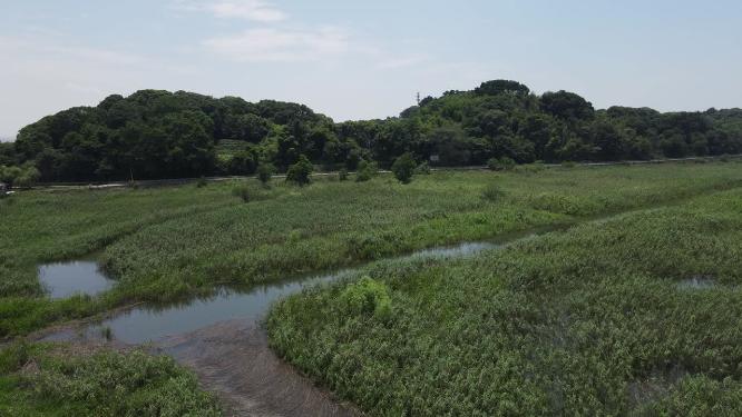 湖南岳阳洞庭湖君山岛航拍