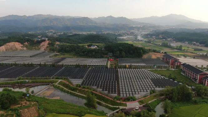 现代农业大棚种植基地航拍