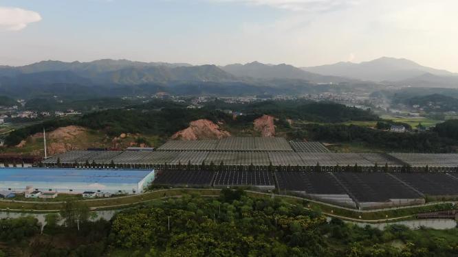 现代农业大棚种植基地航拍