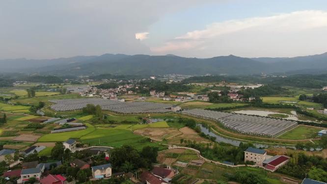 现代农业大棚种植基地航拍