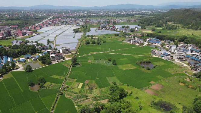 绿色农田农业种植基地航拍