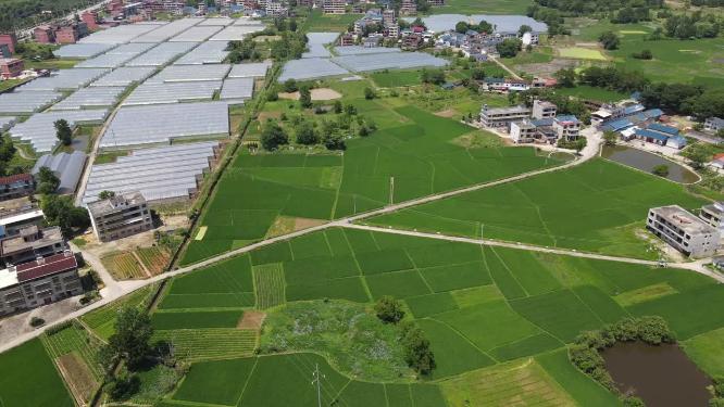 绿色农田农业种植基地航拍