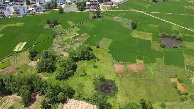 绿色农田农业种植基地航拍