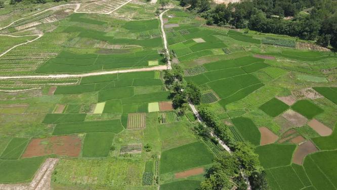 绿色农田农业种植基地航拍