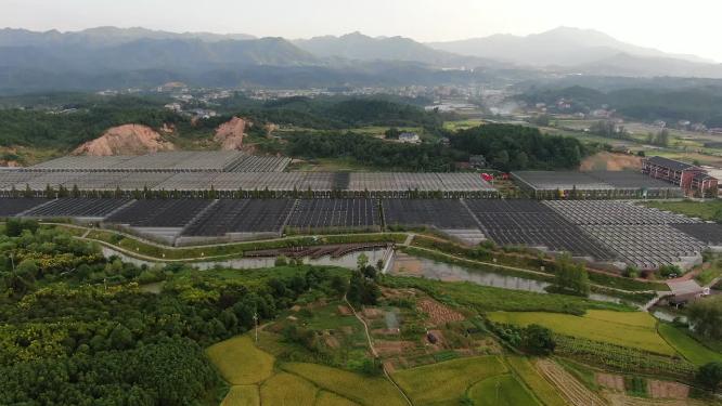乡村田园大棚农业种植基地航拍