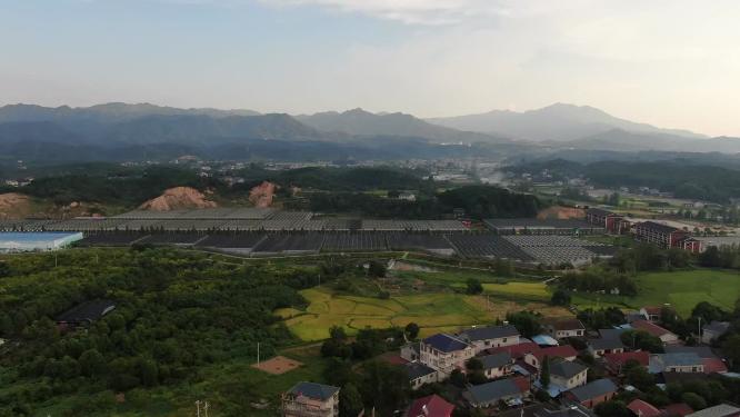 乡村田园大棚农业种植基地航拍
