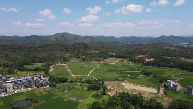 绿色农田农业种植航拍