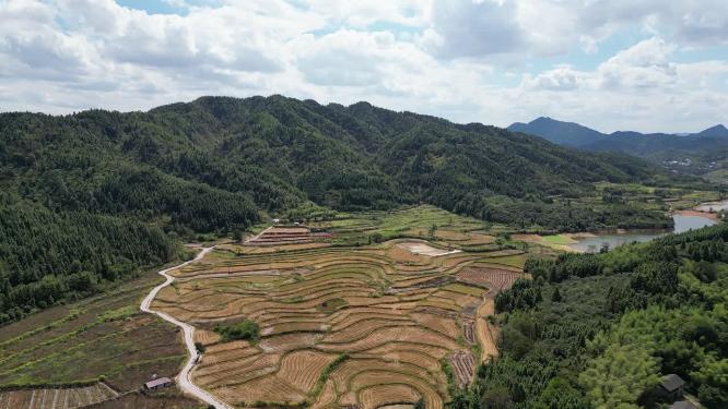 秋收后田园丘陵自然风光航拍