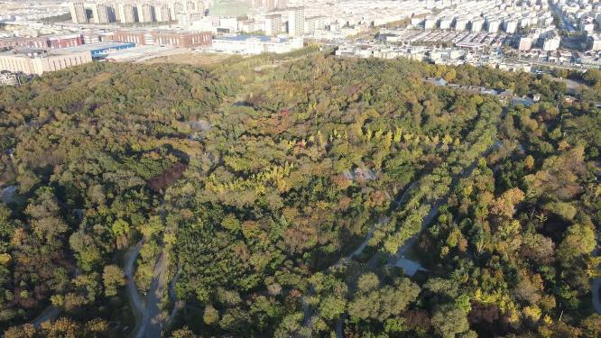 中国江苏汉文化园4A景区航拍