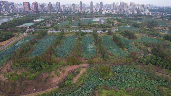 江西南昌象湖公园航拍