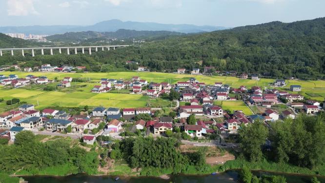 美丽乡村农田农业种植航拍