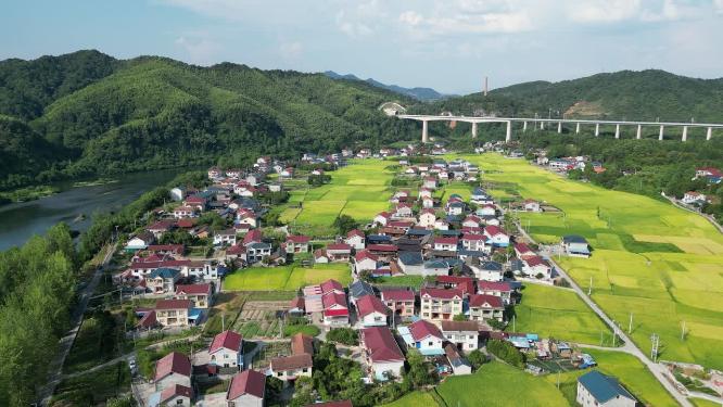 美丽乡村农田农业种植航拍
