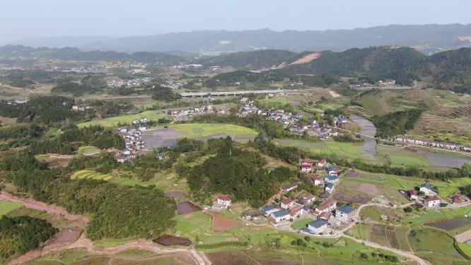 美丽乡村田园农业种植油菜花航拍