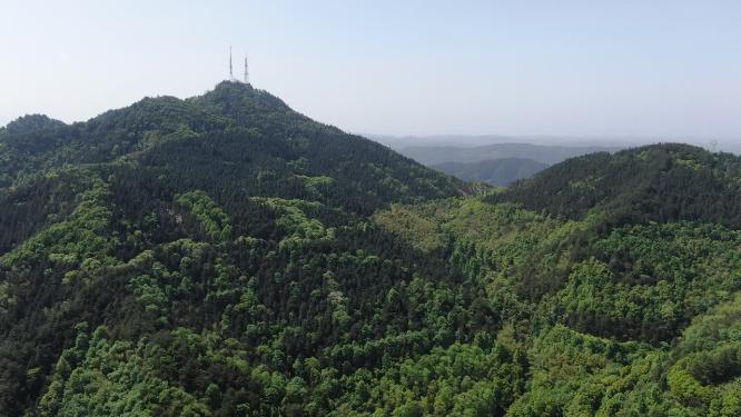 绿色植物森林祖国大好河山航拍