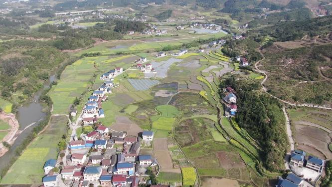 美丽乡村农田农业种植航拍