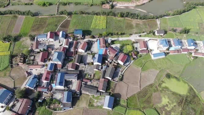 美丽乡村农田农业种植航拍