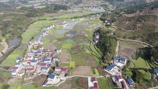 美丽乡村农田农业种植航拍