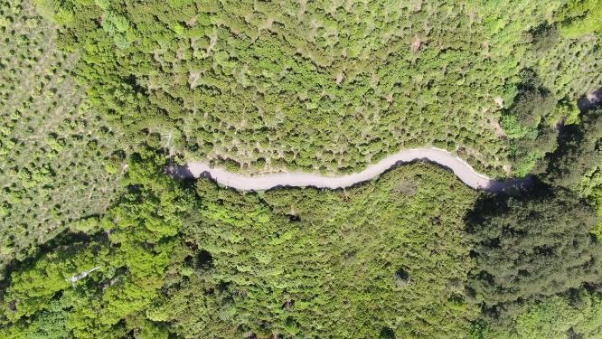 航拍大山蜿蜒盘山公路道路交通