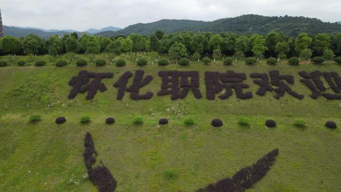 乡村田园农业种植水稻航拍