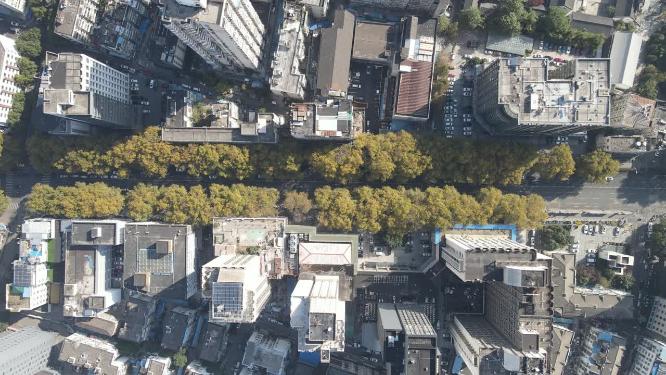 俯拍南京城市交通