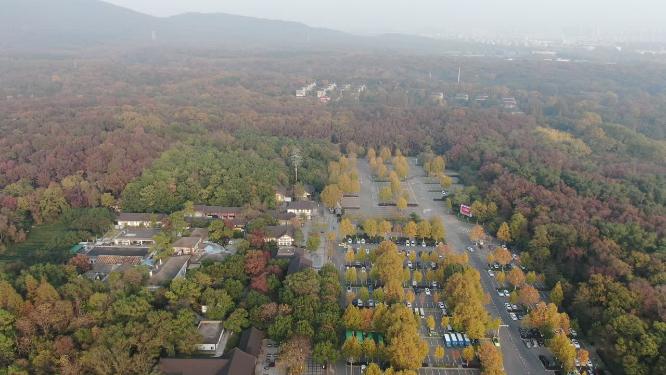南京钟山秋天航拍