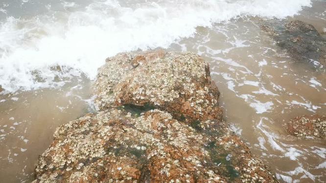 大海沙滩海浪自然风景实拍