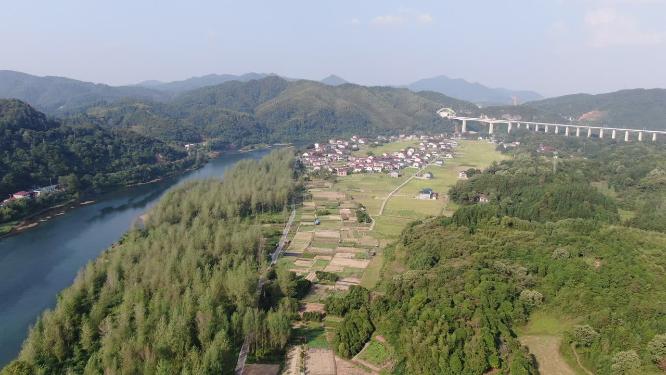 航拍美丽乡村绿色田园农业种植稻田